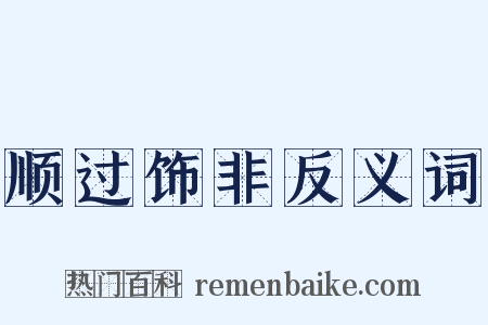 顺过饰非反义词是什么意思的图片
